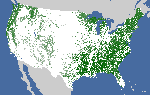 NLCD Tree Canopy Cover (CONUS) 2013